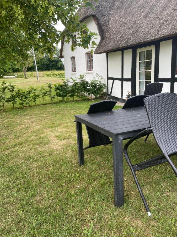 Baekgaarden 3 Rooms Apartment - Old Farm House Οντένσε Εξωτερικό φωτογραφία